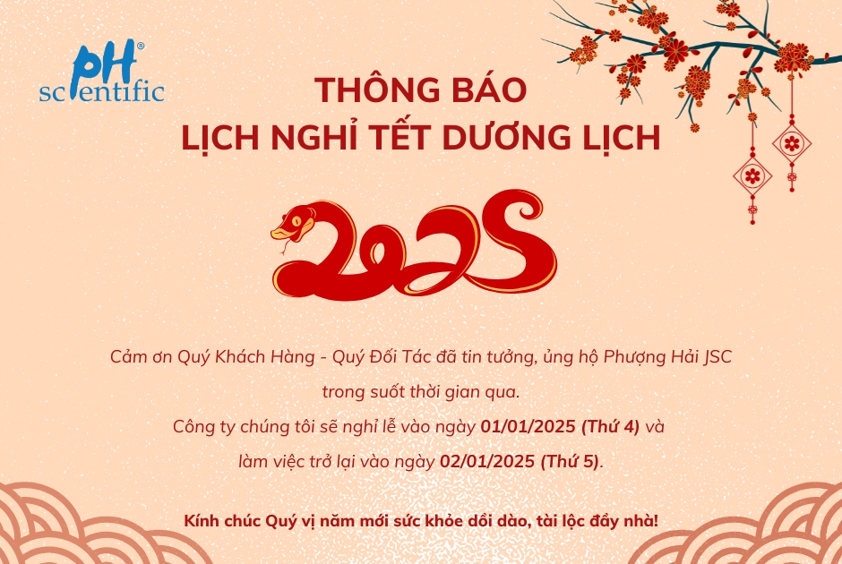 Tết Dương Lịch 2025