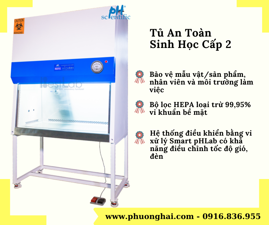 tu-an-toan-sinh-hoc-cap-2