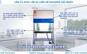 TỦ AN TOÀN SINH HỌC CẤP II – LÝ DO LÀ “NGƯỜI HÙNG” CỦA MỌI PHÒNG LAB